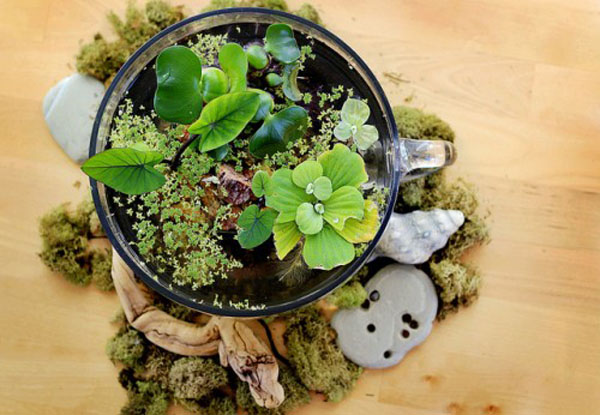 4 Cool Gardening Ideas To Fit Any Frugal Budget Photo 4 Cool Gardening Ideas To Fit Any Frugal Budget