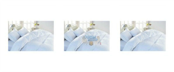 Costco Canada: King Size Sealy White Goose Down Duvet $179.99 Photo Costco Canada: King Size Sealy White Goose Down Duvet $179.99