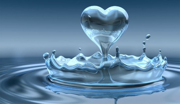 Water Conservation in Daily Life