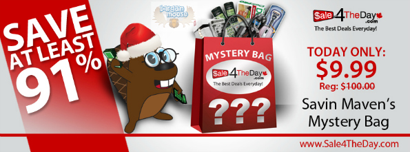 Sale4TheDay.ca: $100 Mystery Bag for $10!