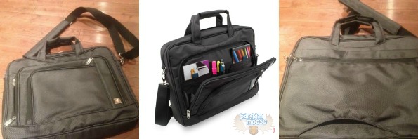 source The Source Canada: $30 Off Gnarlyfish 15.6 Laptop Briefcase Now $19.99