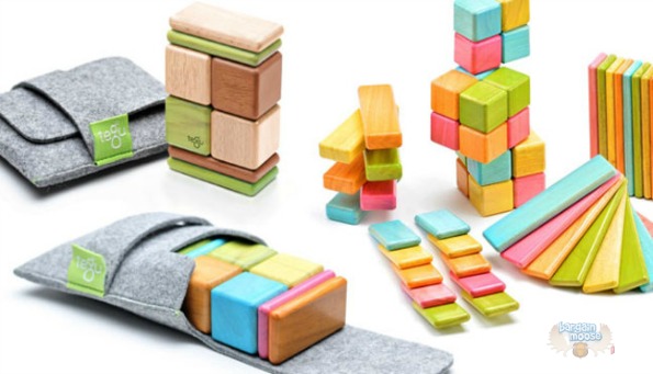 Homesav Canada: Sale On Tegu, Innovative Eco Blocks