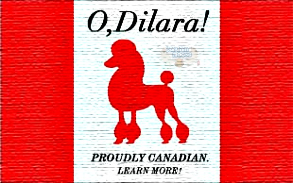 ShopDilara Coupon Code: Exclusive 15% Boxing Week Discount Photo ShopDilara Coupon Code: Exclusive 15% Boxing Week Discount