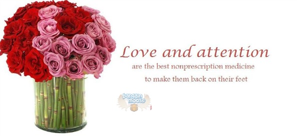 Flower Advisor: Save 15% Site Wide w/ Coupon Photo Flower Advisor: Save 15% Site Wide w/ Coupon