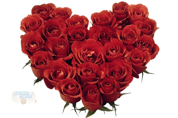 buytopia Buytopia Canada: $25 for $50 Worth of Floral Arrangements With GTA Delivery