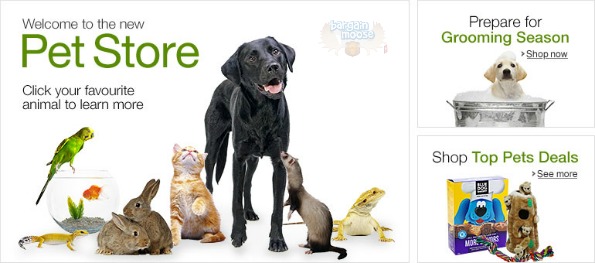 Amazon Canada: 50%+ Off Cat Stands