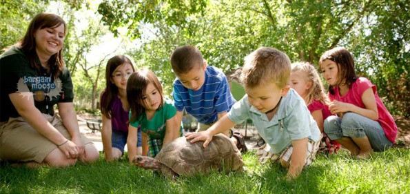 Discounted Ideas For What To Do On March Break in Alberta Photo Discounted Ideas For What To Do On March Break in Alberta