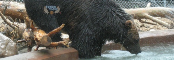 Free and Discounted March Break Ideas For Manitoba & Saskatchewan