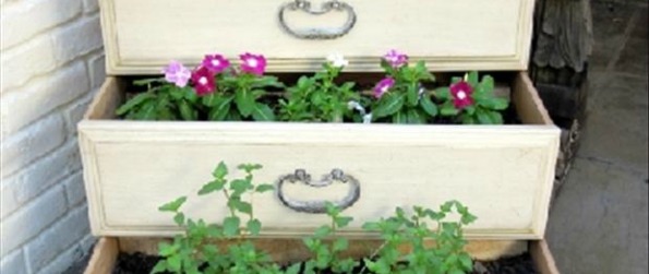 7 Re Purposed Ideas to Make Your Garden Funky Photo 7 Re Purposed Ideas to Make Your Garden Funky