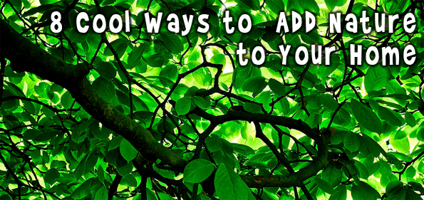 add-nature 8 Cool Ways to Add Nature to Your Home