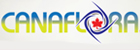 Free Shipping to Canada 2013