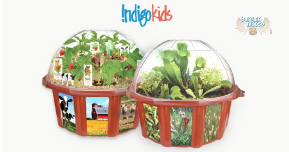 Chapters Canada: 20% Off Dunecraft Terrariums