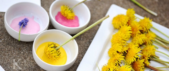 8 Cool Ways to Add Nature to Your Home Photo 8 Cool Ways to Add Nature to Your Home