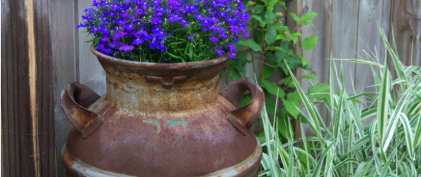 7 Re Purposed Ideas to Make Your Garden Funky Photo 7 Re Purposed Ideas to Make Your Garden Funky
