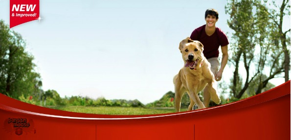 PJ's Pets Canada PJs Pets / Pets Unlimited Canada: 15% Off Hills Science Diet