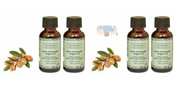 Teambuy Canada: $22 For Two Bottles Of Pure Organic Moroccan Argan Oil Photo Teambuy Canada: $22 For Two Bottles Of Pure Organic Moroccan Argan Oil