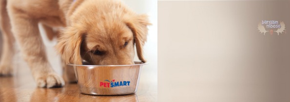 Petsmart Canada Friends & Family Sale: Get 15% Off With Coupon