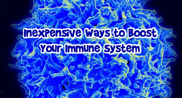 Inexpensive Ways to Boost Your Immune System Photo Inexpensive Ways to Boost Your Immune System