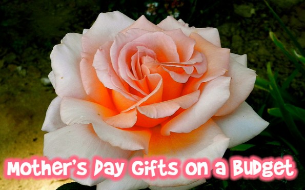 Mothers Day Gifts on a Budget Photo Mothers Day Gifts on a Budget