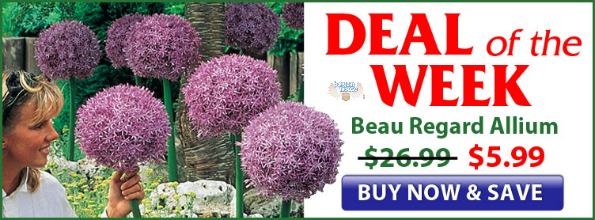 Breck's+Bulbs+CA Breck’s Bulbs Canada Coupons & Sales | BargainMoose Canada