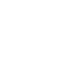 logo Naturalizer logo