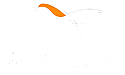 Wazo logo