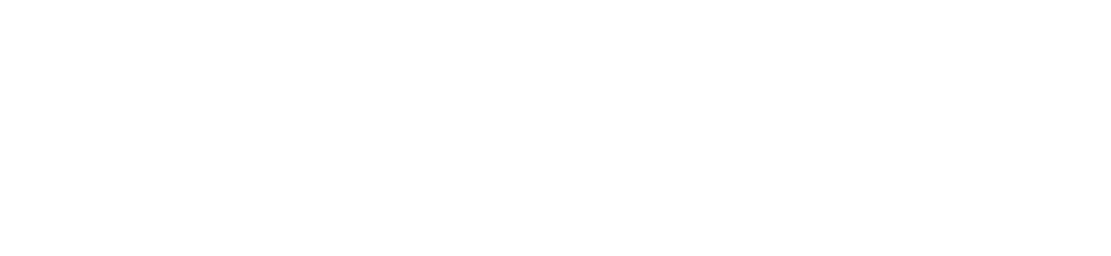 Bogs logo