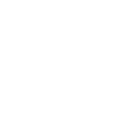 logo Victoria's Secret