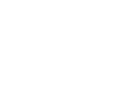 logo Zazzle