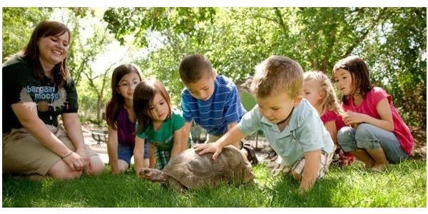 Discounted Ideas For What To Do On March Break in Alberta