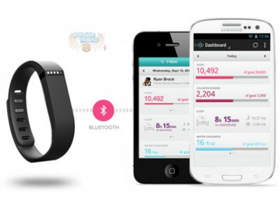 Chapters Indigo Canada: Free Accessories Kit With Fitbit Flex Purchase ($30 Value)