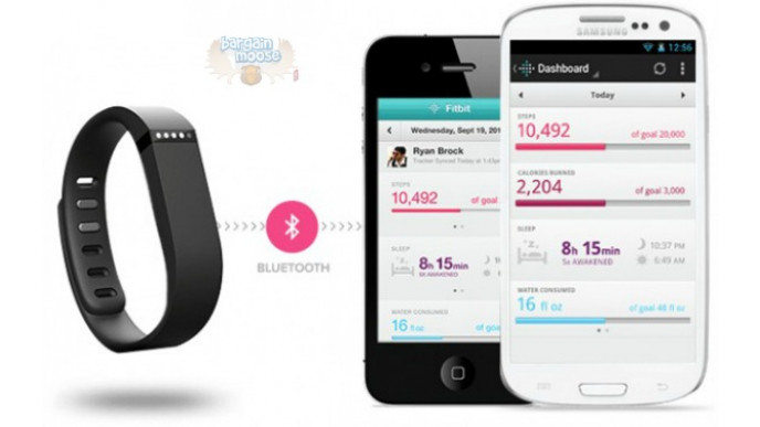 Chapters Indigo Canada: Free Accessories Kit With Fitbit Flex Purchase ($30 Value)