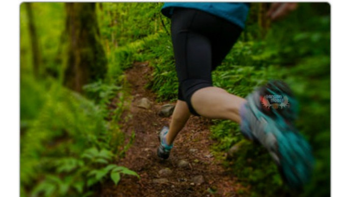 Live Out There Canada Promo Code: $25 off $100