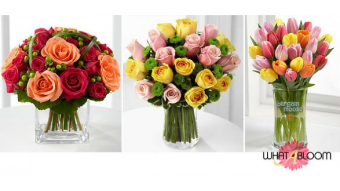 TeamBuy Canada Promo Code: $5 Off Any Purchase