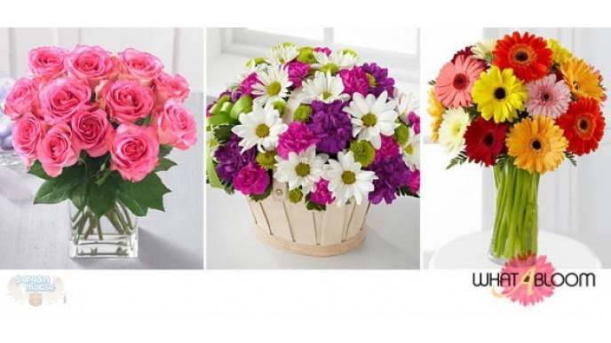 Teambuy.ca Coupon: $5 Discount 