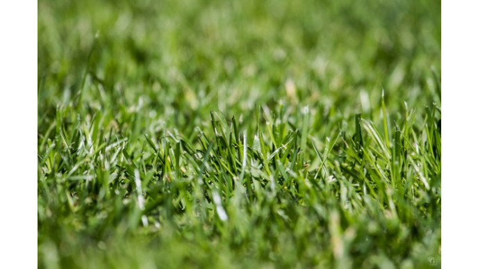 Walmart Canada: Lawnmaster Grass Trimmer & Sweeper Only $50