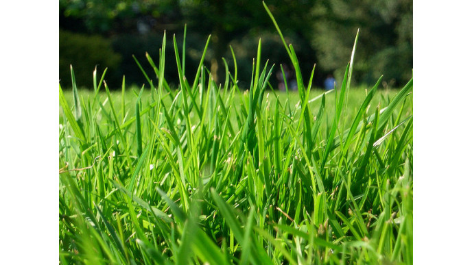 Sears Canada: Craftsman 3-in-1 Gas Push Mower Only $160