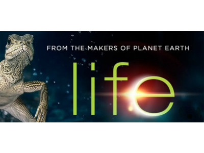 Amazon Canada: BBC Life Blu-Ray $30 (Was $87.48)