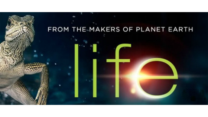 Amazon Canada: BBC Life Blu-Ray $30 (Was $87.48)