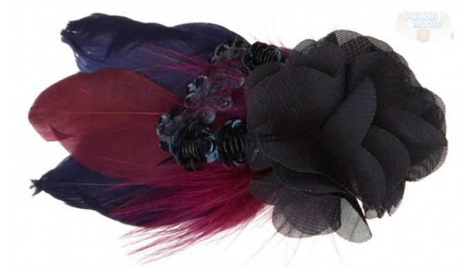 Chapters Indigo Canada: Up to 76% Off Hair Accessories 