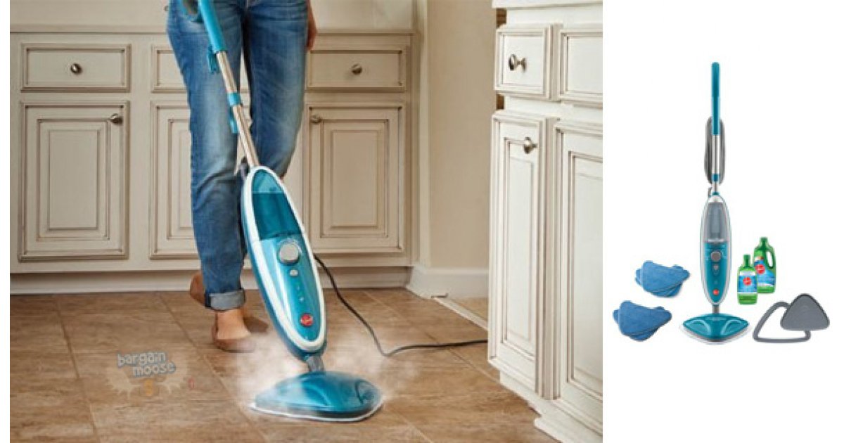 floor steamer costco