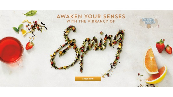 Teavana Canada: Up To 75% Off Iced Tea Essentials