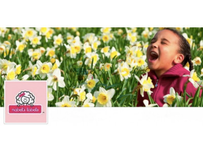 Mabels Labels Promo Code: Save 50% on Shamrock Labels Today Only