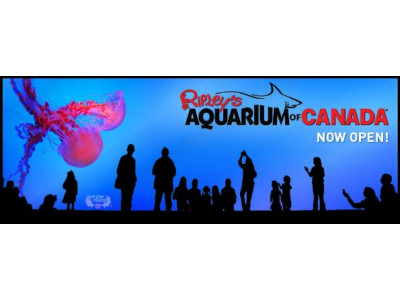 Chapters Indigo Canada: Buy A Book & Get a BOGO Free For The Ripley's Aquarium 