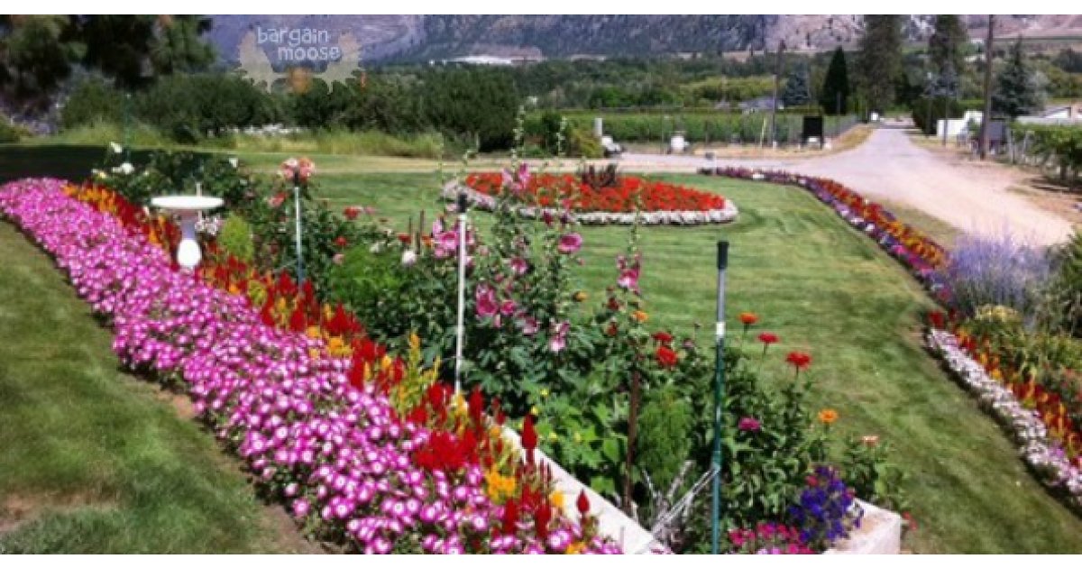 Veseys Promo Codes Up To 100 Off & Free Shipping