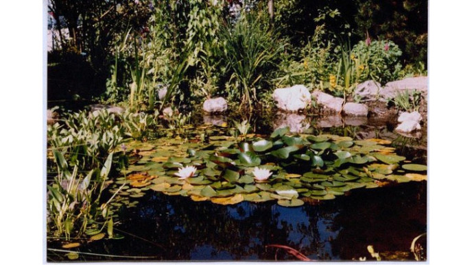 Lowes Canada: Pond Liner Only $70 (Was $140)