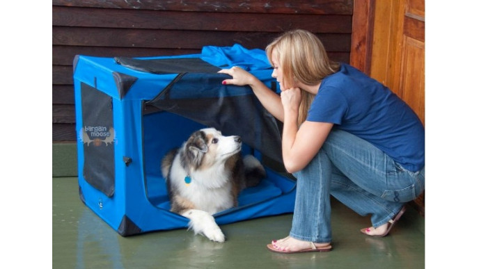 Amazon Canada: Pet Gear Rolling Backpack Carrier Only $76 (Was $110+)