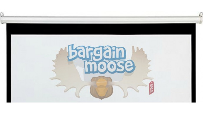 Staples Canada: Draper 8' Diagonal Projector Screen Now $89.96 (Save $40)