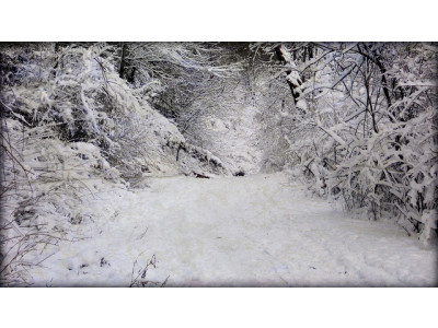 Shop.ca: Conair Professional Percussion Massager Only $30 (Was $50)