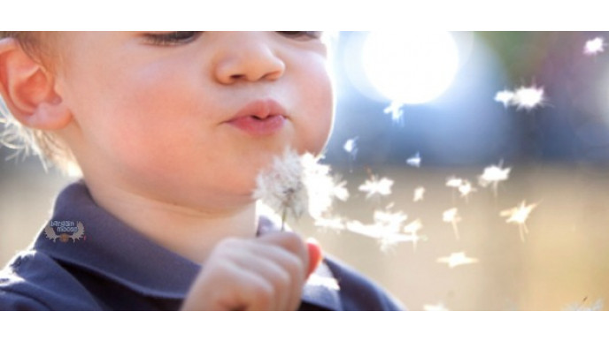 Innocent Earth Canada Promo Code: 40% Off